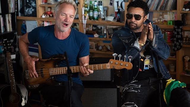 Sting and shaggy: npr music tiny desk concert Sting and shaggy: npr music tiny desk concert