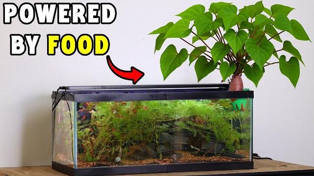 I built a mini ecosystem(no filter) I built a mini ecosystem(no filter)