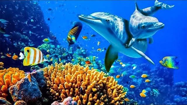 Relaxing music to relieve stress, anxiety and depression • mind, body soothing music for nerves Relaxing music to relieve stress, anxiety and depression • mind, body soothing music for nerves
