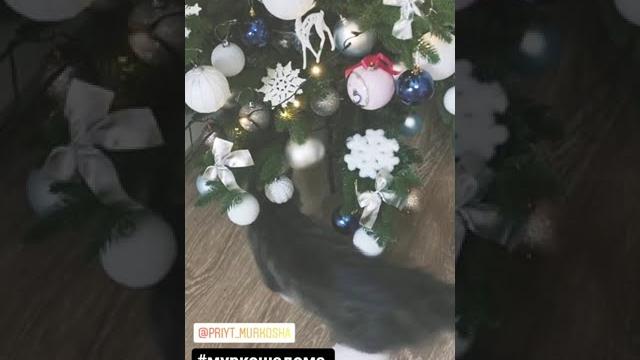 Лайм дома 1 Лайм дома 1