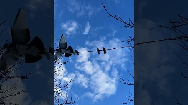 #dnepr #dnipro #ukraine #shorts #timelapse #dnepr #dnipro #ukraine #shorts #timelapse