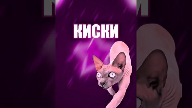 Киски Киски