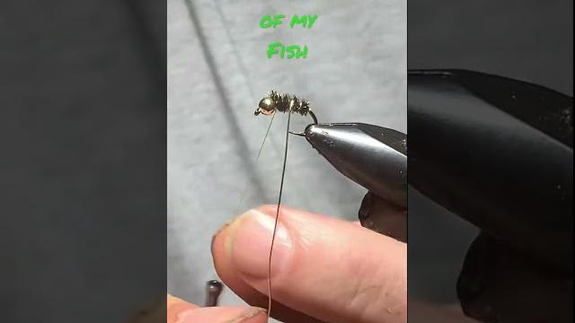 Easy fly tying #flytying #flyfish #easyflies #onthefly #nymphs #troutbum #flytyingtutorial Easy fly tying #flytying #flyfish #easyflies #onthefly #nymphs #troutbum #flytyingtutorial