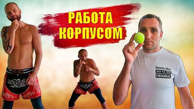 Отработка защиты в боксе мма и муай тай обучение. работа корпусом, тренировка с теннисным мячом бокс Отработка защиты в боксе мма и муай тай обучение. работа корпусом, тренировка с теннисным мячом бокс