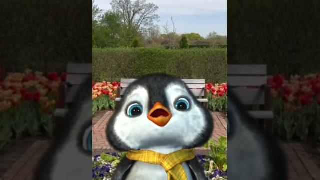 Happy mamas day #iloveyou #iloveyoumom #cuteanimals #penguin Happy mamas day #iloveyou #iloveyoumom #cuteanimals #penguin