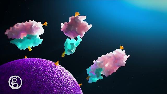 Cellular moa animation - somalogic somamers - ghost productions medical animation & surgical vr Cellular moa animation - somalogic somamers - ghost productions medical animation & surgical vr