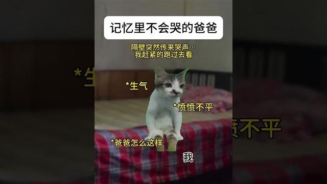 大人是真的不会难过吗… #猫meme #内容过于真实 #funny 大人是真的不会难过吗… #猫meme #内容过于真实 #funny