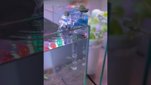#shorts one of the best mini hang on back filter for nano aquariums | nepall hang on back filter #shorts one of the best mini hang on back filter for nano aquariums | nepall hang on back filter