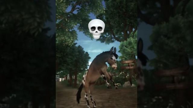 Which star stable horse is better in sso star stable edit! / sso short / sso edit #sso #starstable Which star stable horse is better in sso star stable edit! / sso short / sso edit #sso #starstable