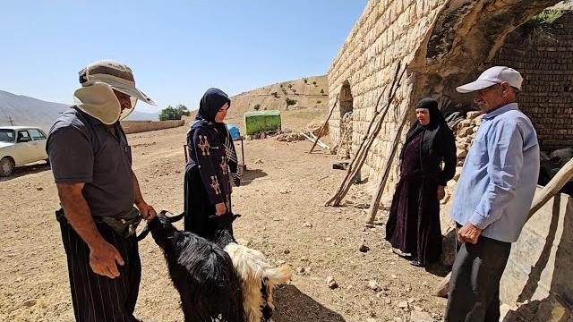 Heartfelt purchase from a nomadic family | sheep | journey into the depths of - nomadic life Heartfelt purchase from a nomadic family | sheep | journey into the depths of - nomadic life