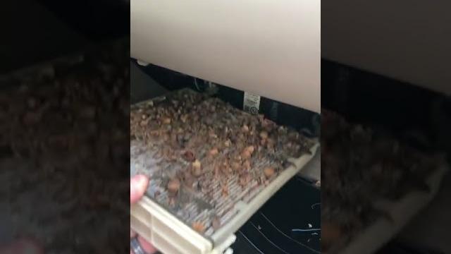 What’s a cabin air filter? What’s a cabin air filter?