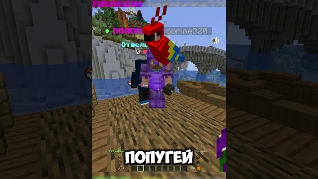Проверка игроков на знание майнкрафт #minecraft Проверка игроков на знание майнкрафт #minecraft