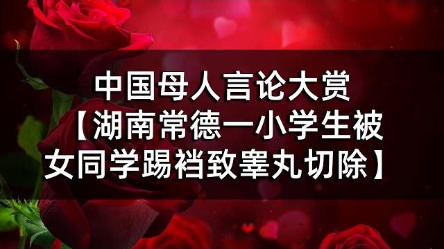 中国母人言论大赏【湖南常德一小学生被女同学踢裆致睾丸切除】 中国母人言论大赏【湖南常德一小学生被女同学踢裆致睾丸切除】