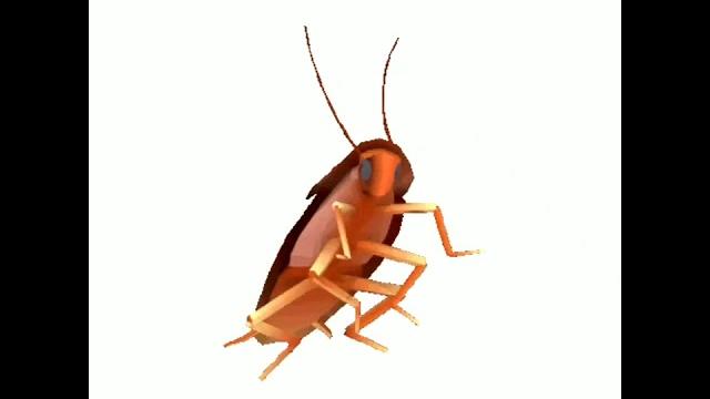 High quality spinning dancing roach autotune - 10 hours High quality spinning dancing roach autotune - 10 hours