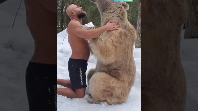 Russians and bears is a love story that never ends Russians and bears is a love story that never ends