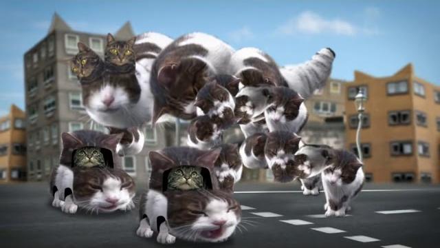 Welcome to kitty city Welcome to kitty city