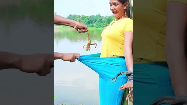 Masukin kodok ke celana cewek Masukin kodok ke celana cewek