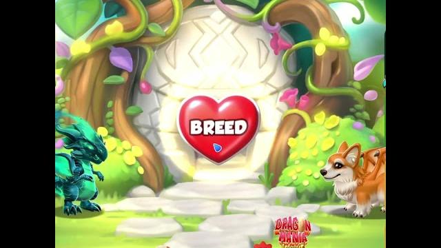 #shorts - dragon mania legends #shorts - dragon mania legends