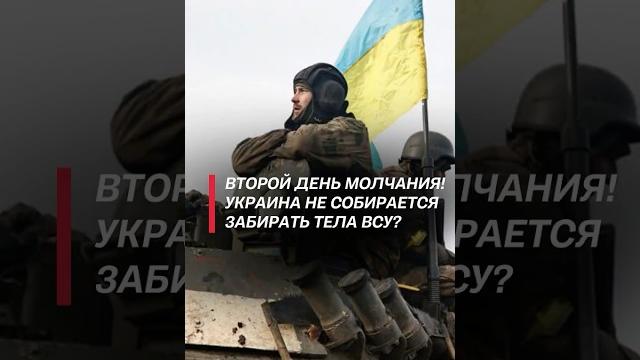 Украина не собирается забирать тела всу? #украина #война #сво #новости #политика #россия #всу #рф Украина не собирается забирать тела всу? #украина #война #сво #новости #политика #россия #всу #рф