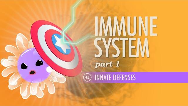 Immune system, part 1: crash course anatomy & physiology #45 Immune system, part 1: crash course anatomy & physiology #45