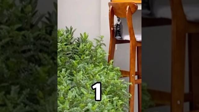 中國絲襪美腿玉足秀(stocking丝袜足脚腿foot)极品黑丝小腿和美脚 中國絲襪美腿玉足秀(stocking丝袜足脚腿foot)极品黑丝小腿和美脚