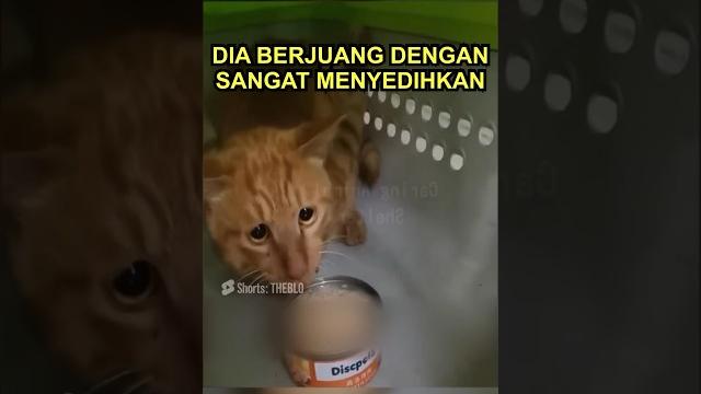 Dia hidup dengan keadaan yang sangat sulit Dia hidup dengan keadaan yang sangat sulit
