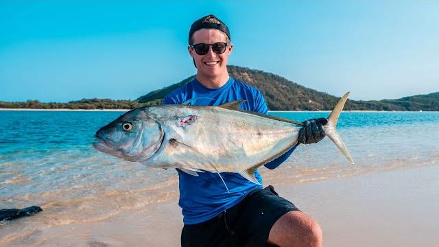Double island spearfishing, deep blue water, mahi mahi, magrove jack ( robinson brothers ) ep42 Double island spearfishing, deep blue water, mahi mahi, magrove jack ( robinson brothers ) ep42