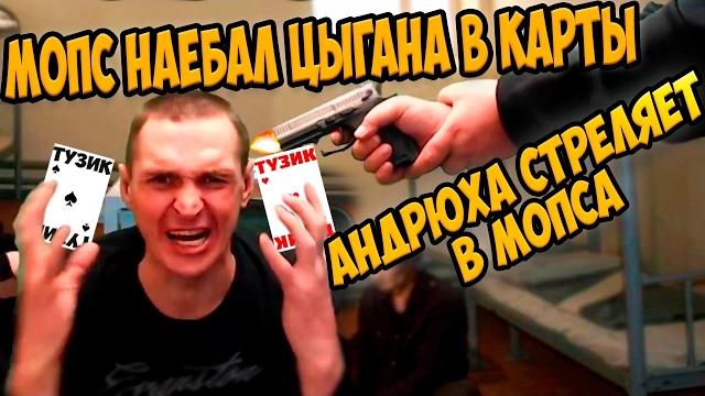 Мопс истории наебал цыгана в карты | андрюха стреляет в мопса | мопс не гребень и андрюха стрим Мопс истории наебал цыгана в карты | андрюха стреляет в мопса | мопс не гребень и андрюха стрим