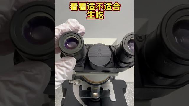 三文鱼放大 显微镜下的世界 科普一下 三文鱼 刺身 寄生虫 三文鱼放大 显微镜下的世界 科普一下 三文鱼 刺身 寄生虫