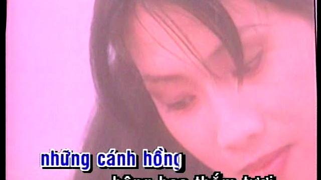 999 doa hong ha vy karaoke 999 doa hong ha vy karaoke
