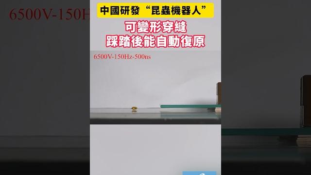中國研發“昆蟲機器人”,可變形穿縫,踩踏後能自動復原#中國 #科技 #機器人 #昆蟲 #北航 中國研發“昆蟲機器人”,可變形穿縫,踩踏後能自動復原#中國 #科技 #機器人 #昆蟲 #北航