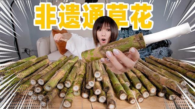 一朵值10万?!2000年前的中国非遗通草花!我能成功吗?| diy chrysanthemum 一朵值10万?!2000年前的中国非遗通草花!我能成功吗?| diy chrysanthemum