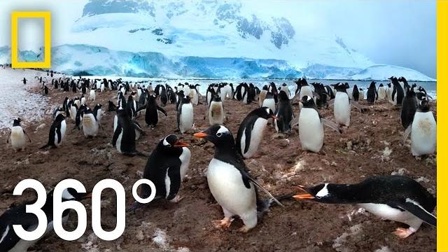 360° antarctica - unexpected snow | national geographic 360° antarctica - unexpected snow | national geographic