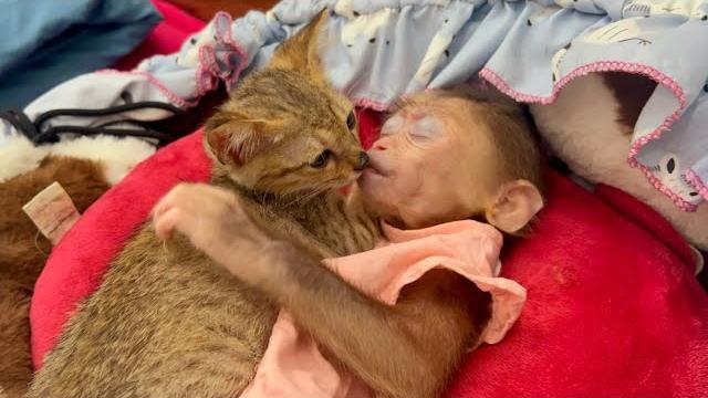 Lovely moment of bibu and lucy! Lovely moment of bibu and lucy!