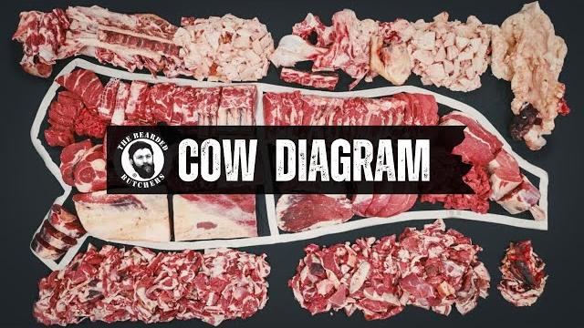 A visual guide to the cuts of a cow: where every beef cut comes from | by the bearded butchers A visual guide to the cuts of a cow: where every beef cut comes from | by the bearded butchers