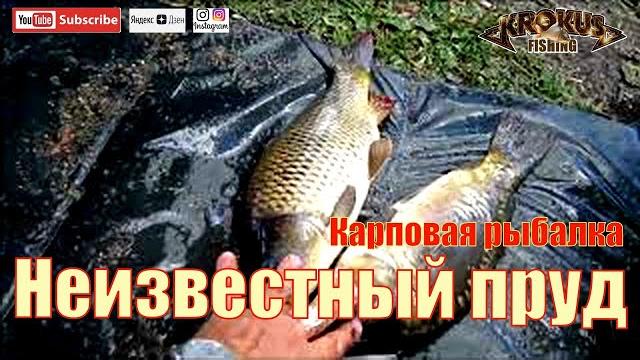 Карповая рыбалка. неизвестный пруд Карповая рыбалка. неизвестный пруд
