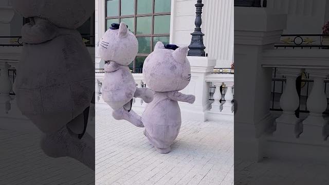 轉圈貓咪 轉圈貓咪