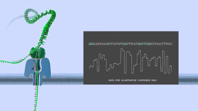 Nanopore dna sequencing Nanopore dna sequencing