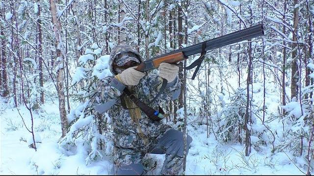Без валерьянки не смотреть! вся правда какие бывают охоты на самом деле / охота на боровую дичь. Без валерьянки не смотреть! вся правда какие бывают охоты на самом деле / охота на боровую дичь.