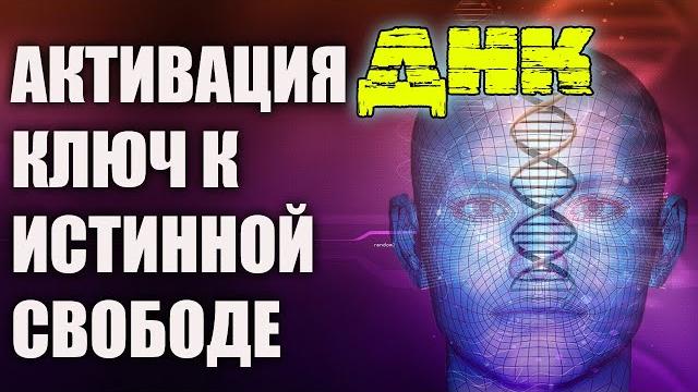 Что будет происходить с вами после активации днк Что будет происходить с вами после активации днк