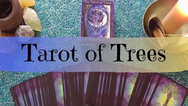Walkthrough: tarot of trees by dana driscoll Walkthrough: tarot of trees by dana driscoll