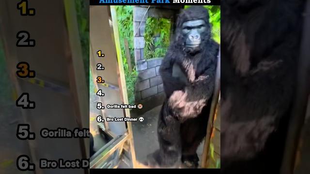 Ranking best amusement park moments Ranking best amusement park moments