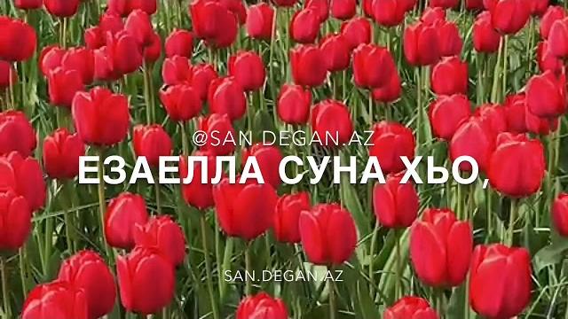 Рани - мадина (чеченская старая песня) Рани - мадина (чеченская старая песня)