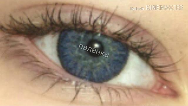 Примера породии на алёнку палёнка Примера породии на алёнку палёнка