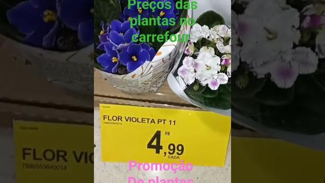 Preços das plantas no carrefour Preços das plantas no carrefour