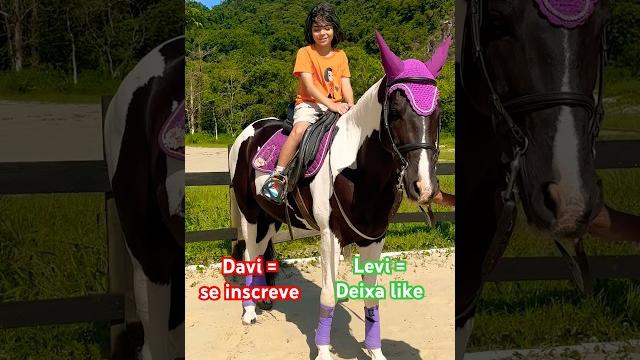 Qual cavalo é mais bonito ? #levidavi #davi #levi #tiarutedavi Qual cavalo é mais bonito ? #levidavi #davi #levi #tiarutedavi