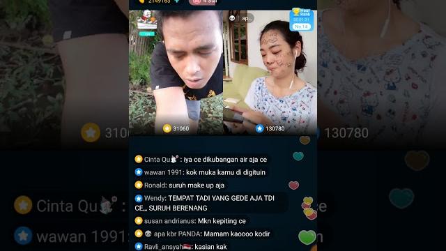 Anak tapir kalah battle Anak tapir kalah battle