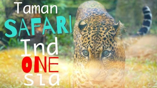Jakarta - taman safari indonesia Jakarta - taman safari indonesia
