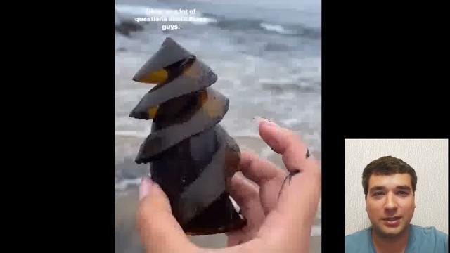 Яйцо акул. Яйцо акул.