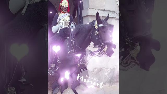 Beautiful horse guard ||london #asmr #uklife Beautiful horse guard ||london #asmr #uklife